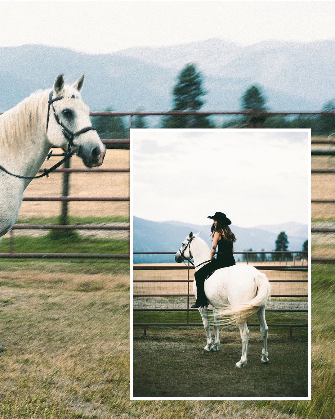 Creative Editorial Portraits with Horses on a Private Ranch in Montana — photograph 17 of 20